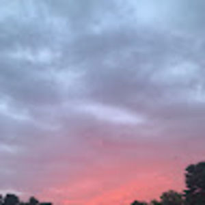 Meet your Posher, Elena